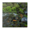 Suche nach glätten fliesen Grün