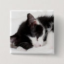 Recherche de pelucheux badges Animal