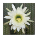 Suche nach easter fliesen Blume