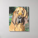 Recherche de sanglant art Chien