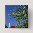 Suche nach easter buttons Blume