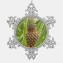 Suche nach früchte ornamente Ananas