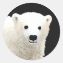 Suche nach weißer eisbär aufkleber Polar