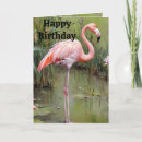 Suche nach rosa flamingo karten Vogelvogel