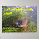 Recherche de pêche à la mouche posters Truite
