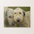 Recherche de espion puzzles Chien