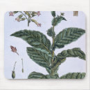 Suche nach veg mousepads Frucht