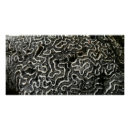 Recherche de corail posters Motif