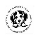 Recherche de chiot de beagle Moderne