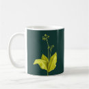 Recherche de botaniste tasses Vert