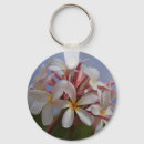 Suche nach plumeria schlüsselanhänger Tropen