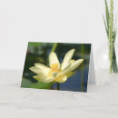 Suche nach lilly karten Natur