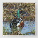 Recherche de le canard horloges Toute personne