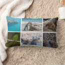 Recherche de animaux australiens coussins Animal