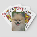 Recherche de spitz jeux de cartes Loulou