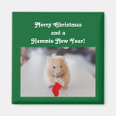 Suche nach niedlicher hamster magnete Tiere