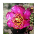 Suche nach blumenfliese Rot