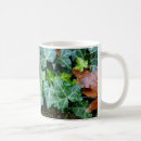 Recherche de lierre tasses Jardin