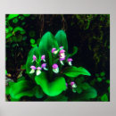 Recherche de orchidées bleues posters Botanique