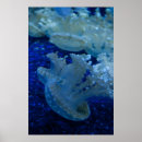 Suche nach jellyfish poster Blau