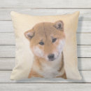 Suche nach shiba kissen Welpe