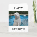 Recherche de beluga vœux cartes Salutation