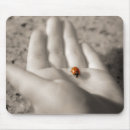 Suche nach roter marienkäfer mousepads Insekt