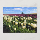 Suche nach tulpenfeld postkarten Bauernhof