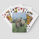 Suche nach nashorn Tierfotografie