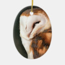 Suche nach niedliche eule ornamente Vögel