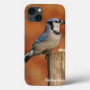 Recherche de ornithologie électronique Geai bleu