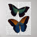 Suche nach schmetterlings poster Blume