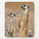 Suche nach wachsamkeit mousepads Farbbild