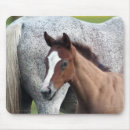 Suche nach stuten mousepads Western