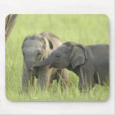 Suche nach asiatischer elefant mousepads Fauna