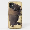 Recherche de steve coques Animal