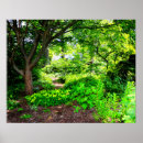 Suche nach wald poster Umwelt