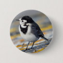 Recherche de pie badges Oiseau