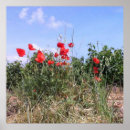 Recherche de raisin rouge posters Vignes