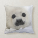 Suche nach harfe kissen Siegel