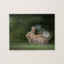 Suche nach häschen puzzle Süß