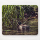 Suche nach teich mousepads Fotografie