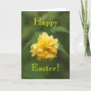 Suche nach kontraste karten Elegant