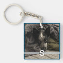 Recherche de photo argentée accessoires Image