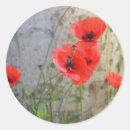 Recherche de pavot rouge autocollants Fleur d'été