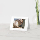 Suche nach rhodesian ridgeback hunde karten Rassenstücke