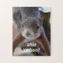 Suche nach nagetiere puzzle Eichhörnchen
