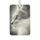 Recherche de visage voiture accessoires Portrait