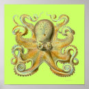 Suche nach haeckel poster Künstler
