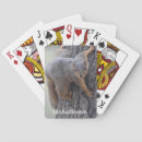 Recherche de écureuil jeux de cartes Drôle